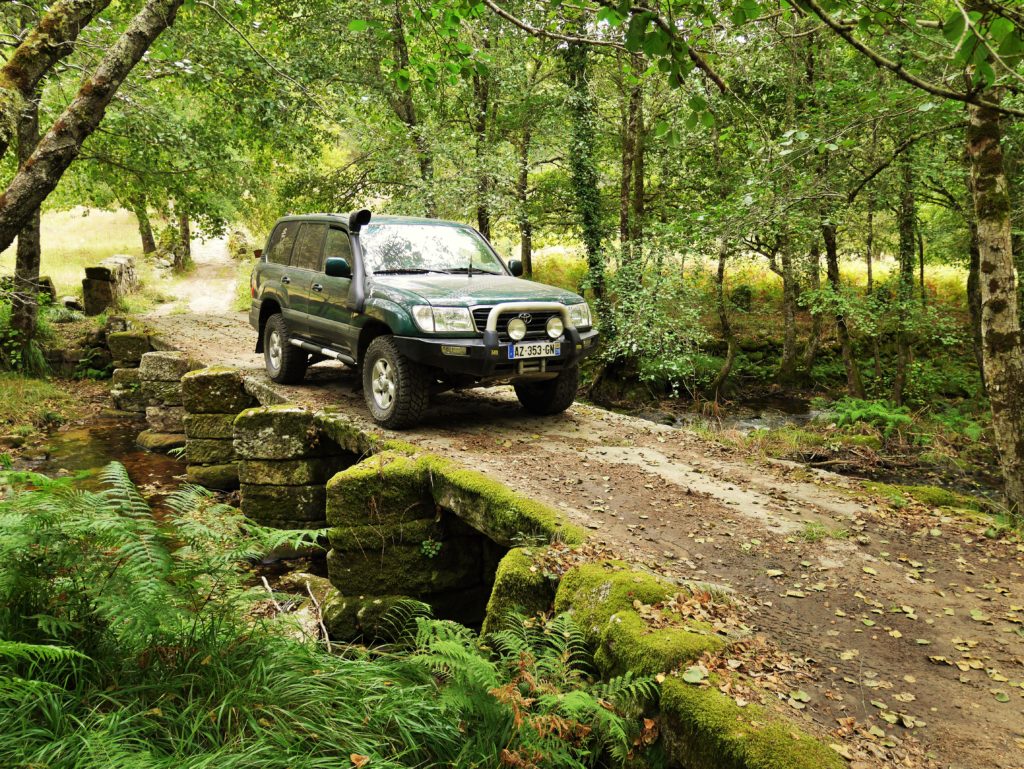 Terrain Tamer Roulements et joints spi renforcés 4x4